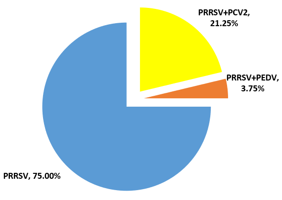 2023年1-6月PRRSV与其他病毒混合感染变化