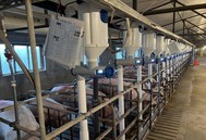 精准饲喂时代来临，精准饲喂是如何助力养猪业降本增效？