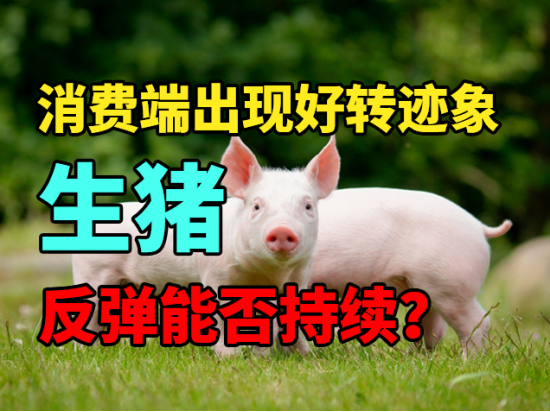 猪肉消费开始有边际好转迹象，生猪反弹能否持续？