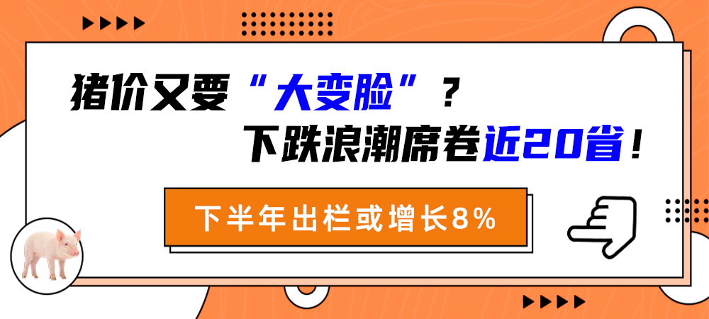 猪价又要“大变脸”？下跌浪潮席卷近20省！下半年出栏或增长8%！