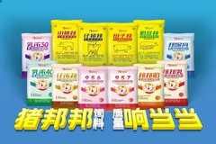 猪邦邦，响当当！“猪邦邦”饲料产品惊艳亮相！