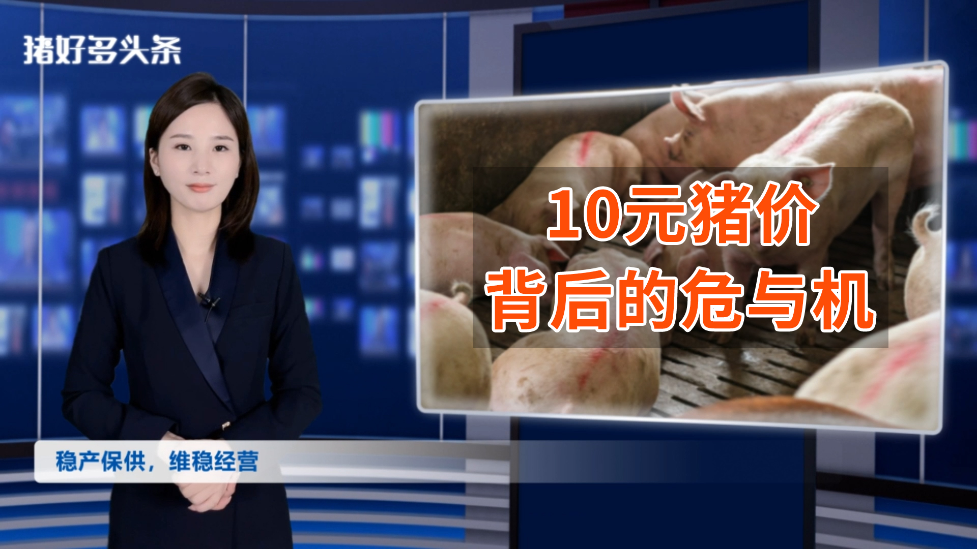 猪价背后的“危与机”！为什么10元猪价，不会太持久？
