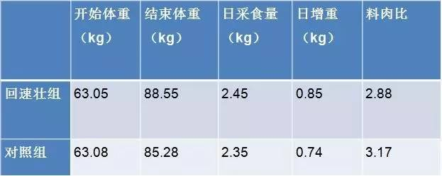 回速壮实验猪对比结果