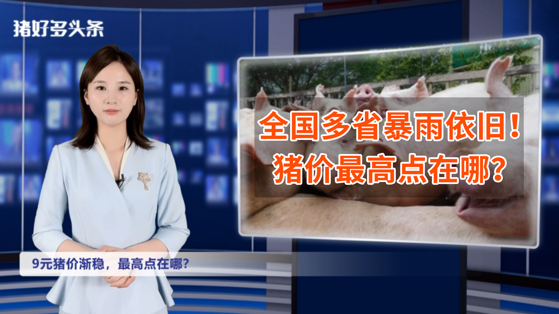 最新！9元猪价稳了！生猪调运依旧艰难，猪肉将冲上30元/公斤？