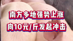 8月7日生猪价格：涨势延续，但屠企对高价猪源接受度较低，还能涨吗？