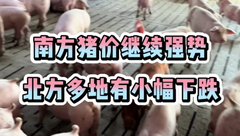 8月8日生猪价格：南涨北跌，市场情绪博弈激烈，预计近期猪价或震荡盘整！