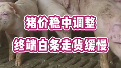 8月9日生猪价格：稳中调整，消费端无明显好转，猪价继续冲高受限？