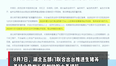 快来领补贴！湖北最新措施：出栏1万头以上奖励100万元
