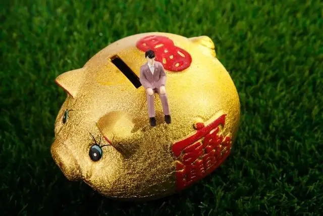 生猪