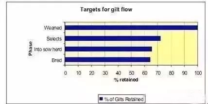后备母猪从断奶到繁育的利用率(J.Spörke,2005)