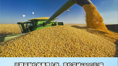 玉米、豆粕价格齐涨！多家企业饲料最高涨千元/吨