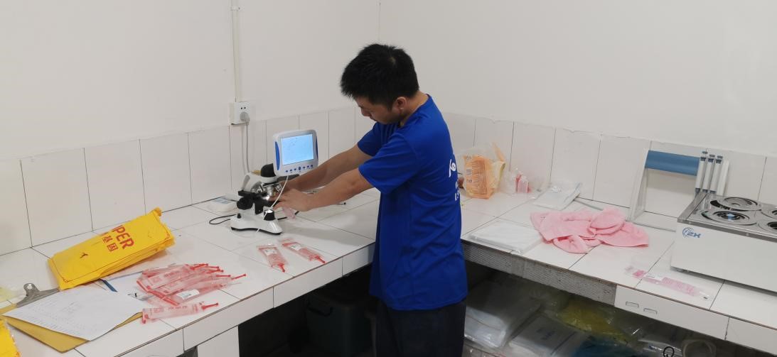 久旺农牧工作人员对秀博精液进行检测