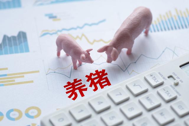猪价触底反弹，一周大涨10%创下年内新高，朱增勇：八月猪价可能还会有所上涨