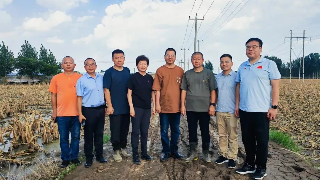 邵博士一行到涿州调研灾情 落实捐赠恢复生产方案