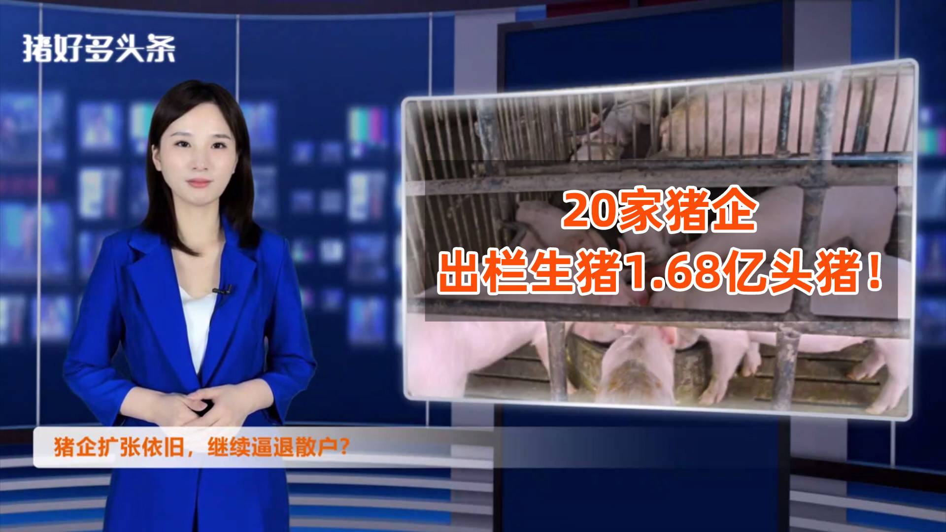 1.68亿头猪！20大猪企产能狂飙，未来继续逼退散户？
