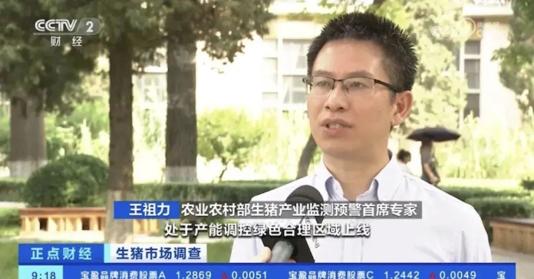 王祖力