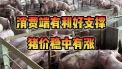 8月27日生猪价格：周末加开学备货消费利好，猪价整体小幅上涨1-2毛/公斤！