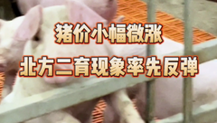 8月28日生猪价格：月底受多重利好支撑逐步兑现，猪价稳中小涨！