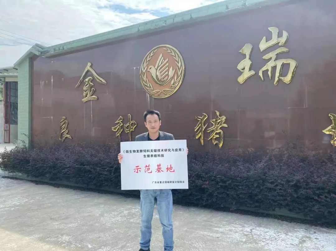 金瑞良种猪场场外