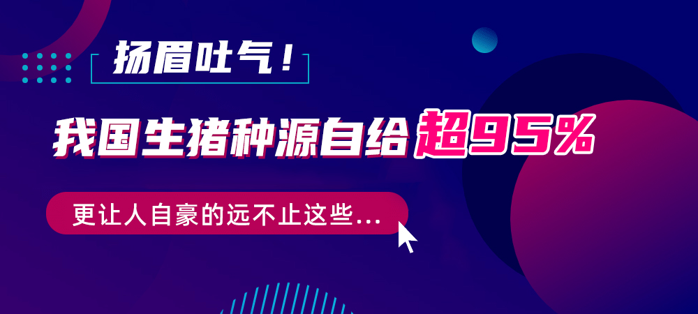 扬眉吐气！我国生猪种源自给超95%，更让人自豪的远不止这些…