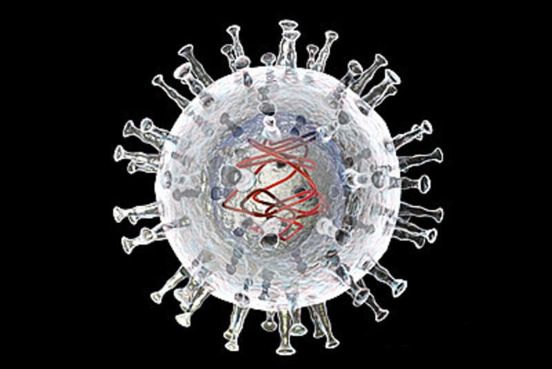 武汉病毒研究所邓增钦团队在非瘟病毒拓扑异构酶的结构解析和催化机制研究中取得重要进展
