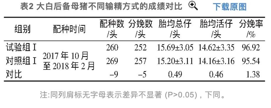 大白后备母猪不同输精方式成绩对比