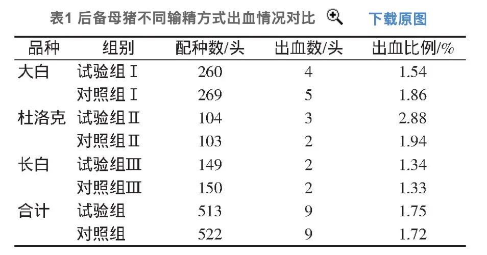 后备母猪不同输精方式出血情况对比