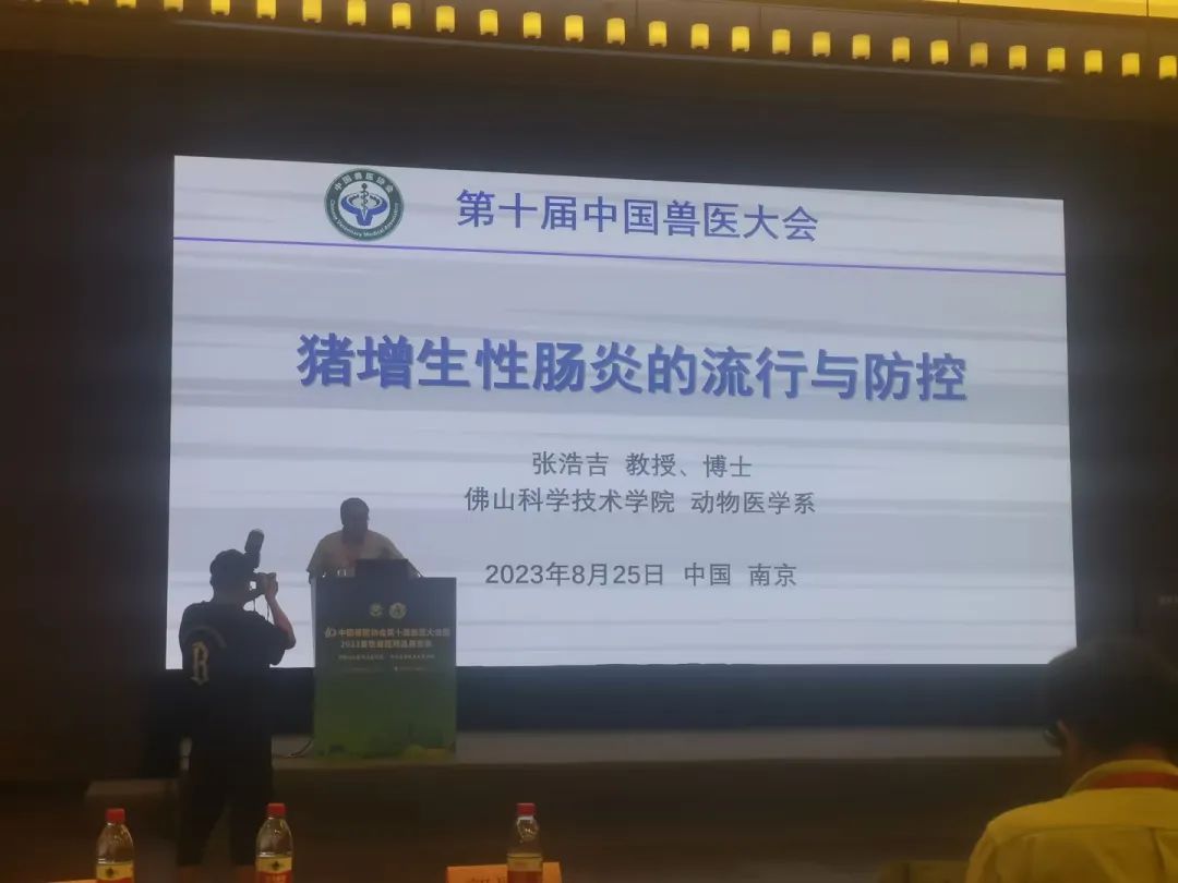 猪增生性肠炎防控