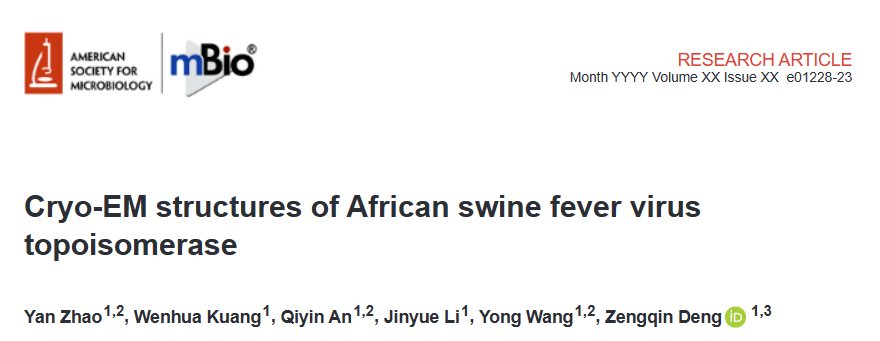 Cryo-EM structures of African swine fever virus topoisomerase