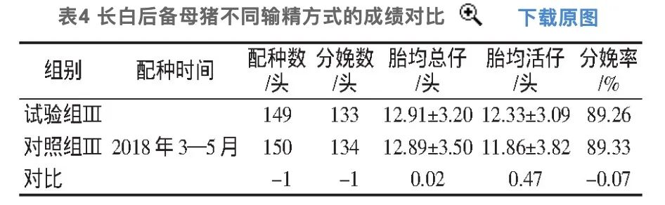 长白后备母猪不同输精方式的成绩对比