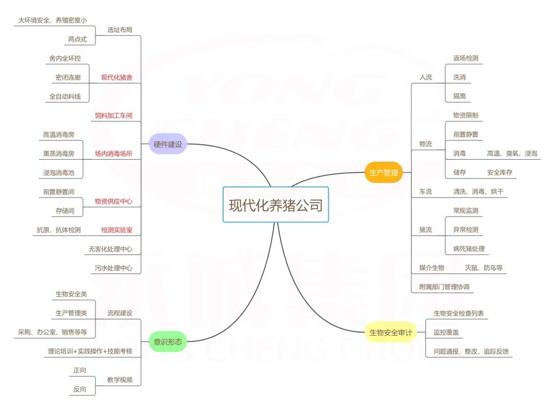 现代化养猪公司