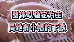 9月1日生猪价格：9月”开门绿”，市场对月底预期较高，能如约上涨吗？