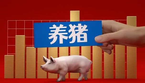 规模集中度大幅提升 生猪养殖企业加速降成本