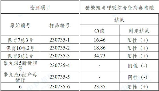 猪场抗原检测结果