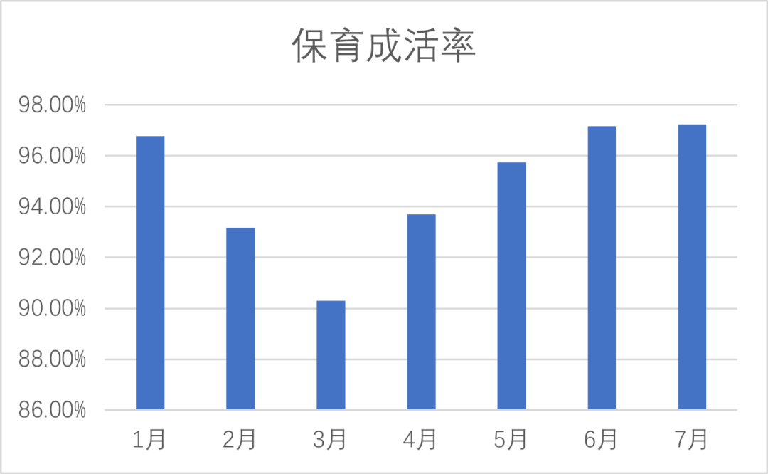 保育仔猪成活率变化情况