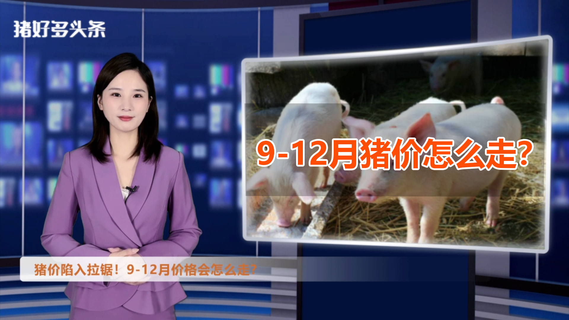 猪价陷入拉锯！何时才能冲入“9元区间”？机构预测猪价高点