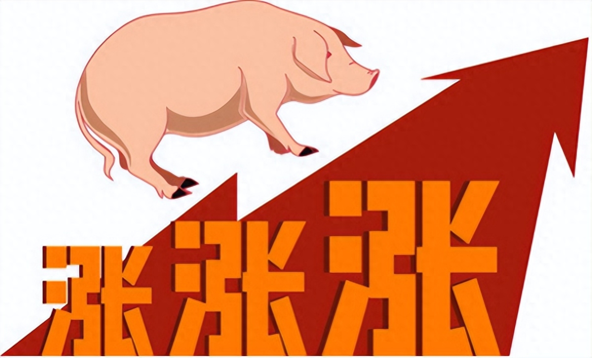 警惕5000万头猪冲击市场！11家猪企8月报出炉！仍有企业亏损