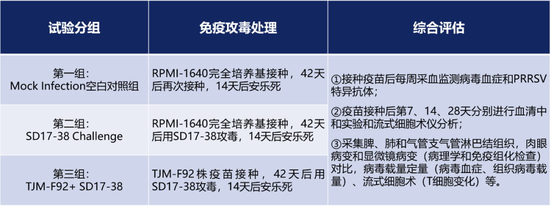 试验分组  