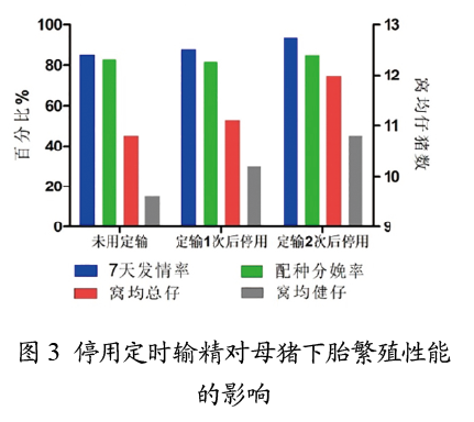 使用定时输精对母猪下胎繁殖性能影响