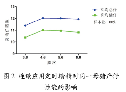 连续用定时输精对同一母猪产仔性能影响