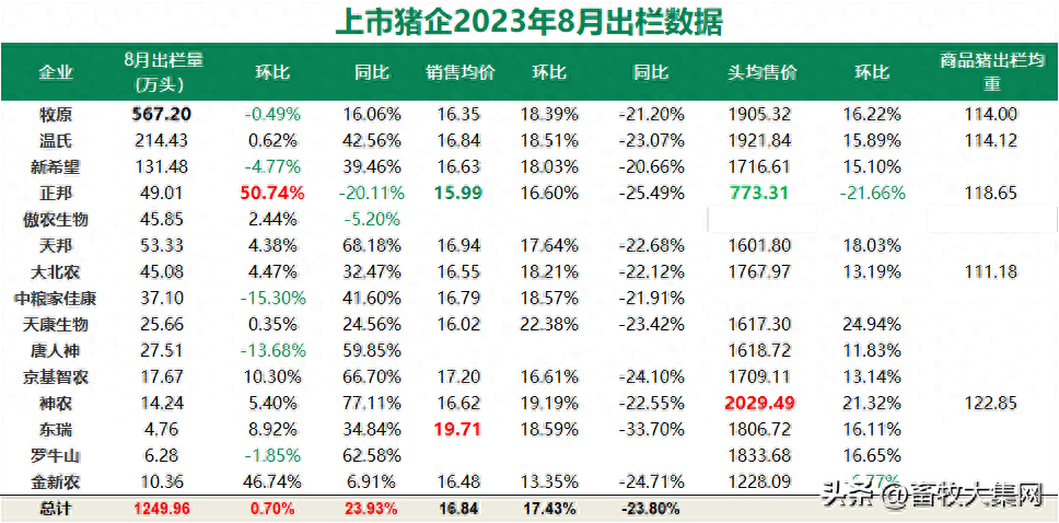 8月猪企出栏数据