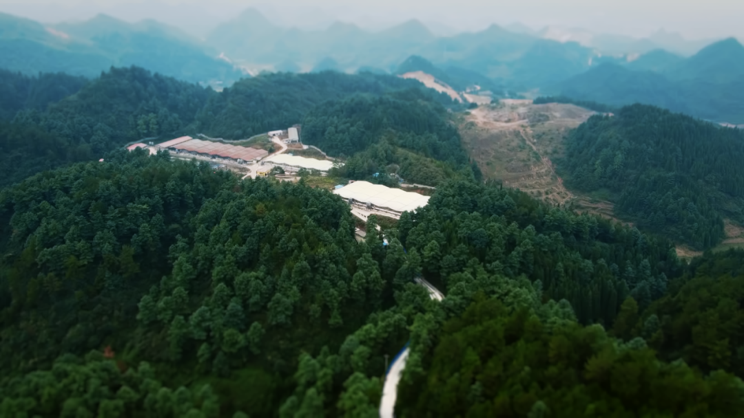 国家生猪核心育种场——贵阳德康中寨种猪场