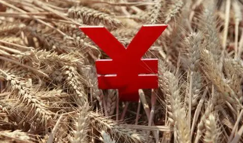 两大消息释放强劲信号，小麦是否又要重新上涨了？