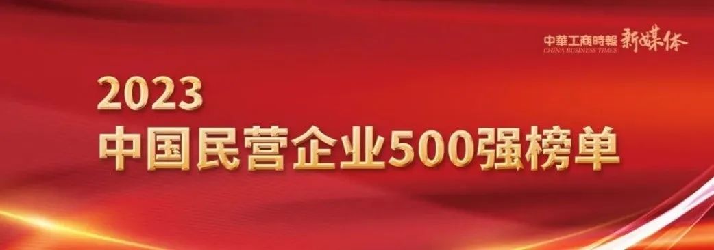 2023年中国民营企业500强