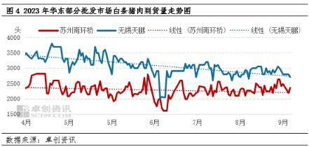 批发市场白条猪到货情况