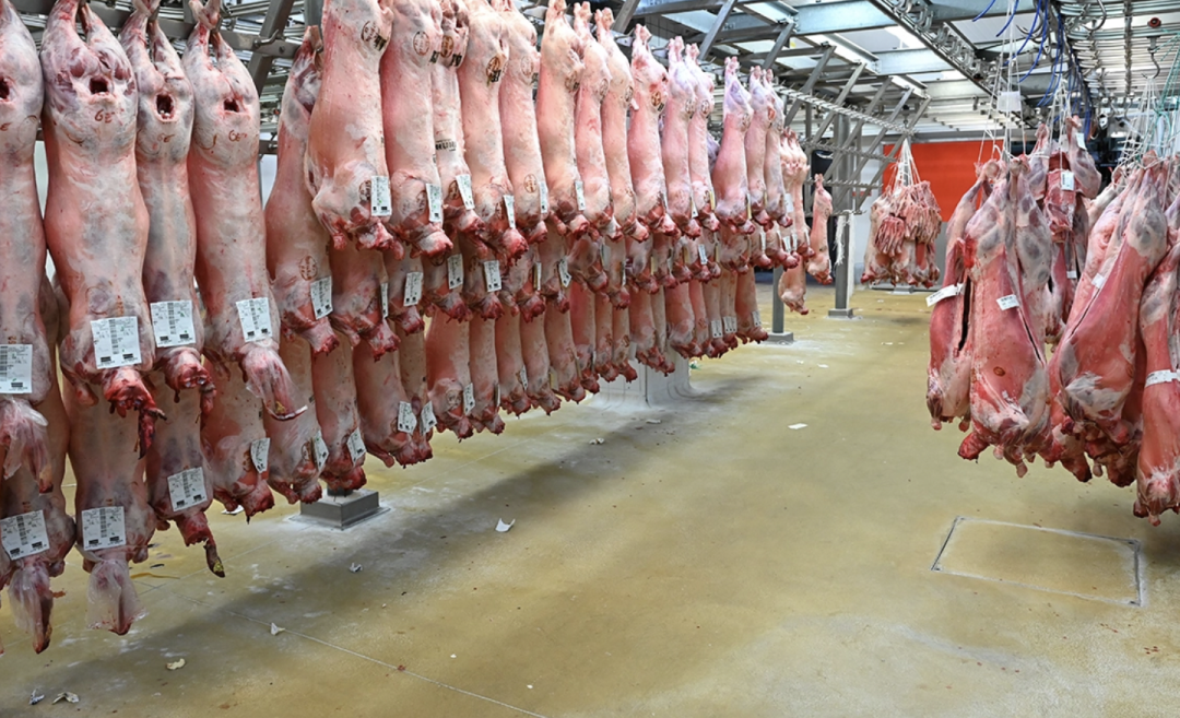 发生了啥？美国扣押中国13批猪肉制品，并禁止进口