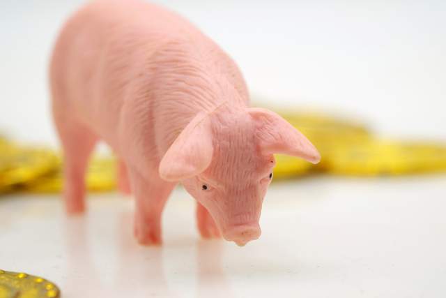 生猪价格萎靡不振，畜牧销售被迫“断粮”？发生了啥？