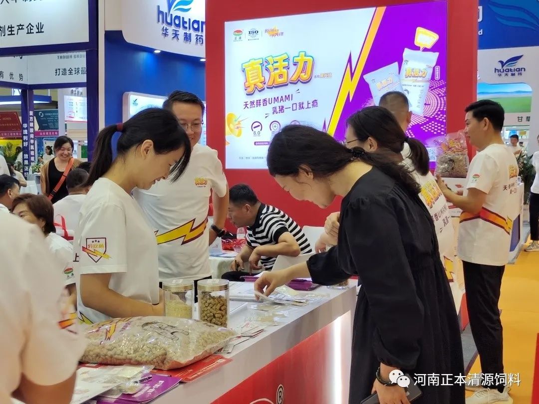 河南正本清源