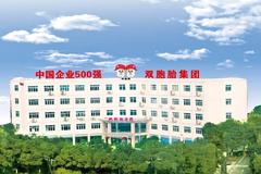 喜报！双胞胎集团位列中国企业500强第287位