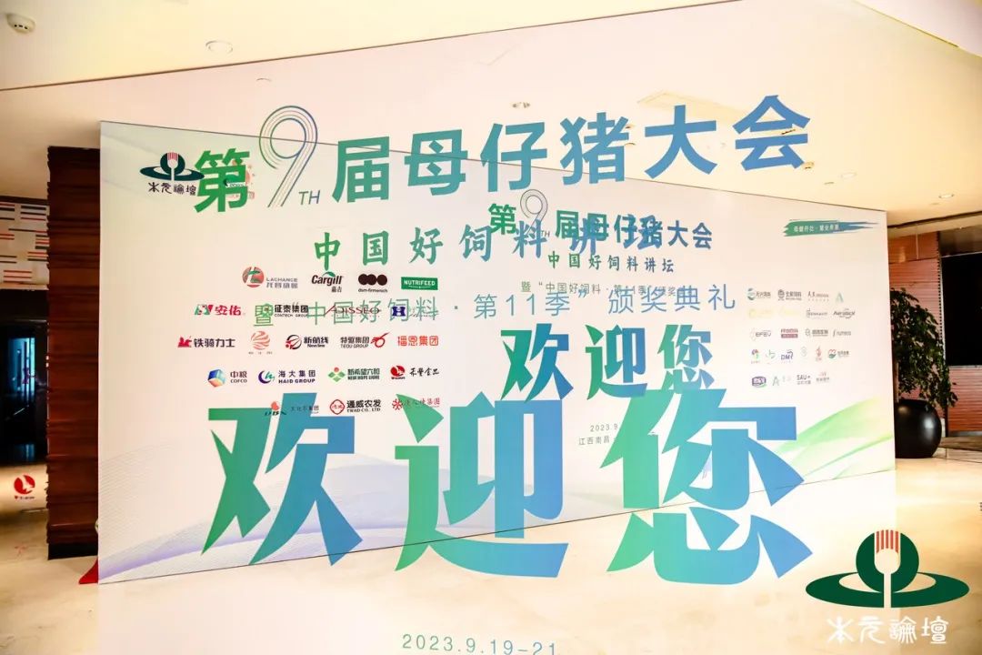 九届母仔猪大会